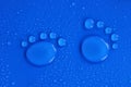 Water drops pawprint