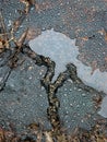 Water drops on the petroleum surface Royalty Free Stock Photo