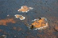 Water drops on the petroleum surface Royalty Free Stock Photo