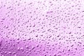 Water drops on purple surface