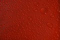 Water drops on red background texture Royalty Free Stock Photo