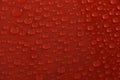 Water drops on red background texture Royalty Free Stock Photo