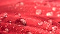 Water drops on red petals of a gerbera flower Royalty Free Stock Photo