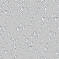 Water drops seamless pattern. Rain droplets on window fogged glass. Fresh drop raindrops. Condensation watering isolated Royalty Free Stock Photo