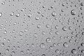 Water drops on silver background