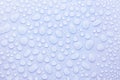 Water drops on soft light blue or violet, very peri background as elegant fresh trendy color pattern with shiny round drops. Royalty Free Stock Photo