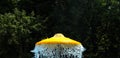 Water drops and splashes on a yellow fountain against the background of trees