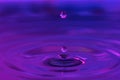 Water drops splashing in water Royalty Free Stock Photo