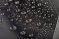 Water drops on the surface of cellphone hydrophobic coated glass screen
