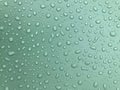 Water drops texture on green surface Royalty Free Stock Photo