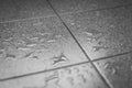 Water drops on the tile floor Royalty Free Stock Photo