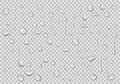 Water drops transparent background. Clean drop condensation. Realistic water background vector illustration Royalty Free Stock Photo