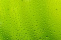 Water drops on window glass. Rain texture or wet pattern background. Royalty Free Stock Photo