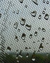 Water drops on window net mesh with cloudy sky on background