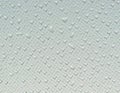 Water drops on window net mesh with glow of morning sky at background Royalty Free Stock Photo