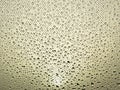 Water drops on window net mesh with glow of morning sky at background Royalty Free Stock Photo