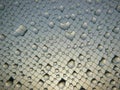 Water drops on window net mesh with glow of morning sky at background Royalty Free Stock Photo