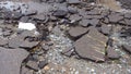 Water erosion of the road. Broken asphalt background. Danger hole, stone gray backdrop Royalty Free Stock Photo