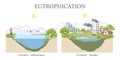 Water eutrophication and its effects Royalty Free Stock Photo