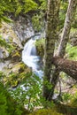 Water fall in Cristian fall area,scene in mt.Rainier National park,Wa,Usa