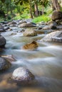 Water fall in deep forest,Chiang Mai Thailand Royalty Free Stock Photo