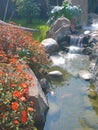 Water fall with flowers beside, Rocks and nature Royalty Free Stock Photo