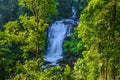 Water fall located in deep rain forest jungle Royalty Free Stock Photo