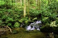 Water Fall in Smoky Mountain National Park Royalty Free Stock Photo