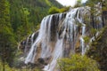 Water fall sounded by green trees Royalty Free Stock Photo