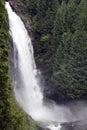 Water fall waterfall forest