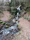 Water fall waterfall forest scene scenery scenic leaves autumn walk nature Royalty Free Stock Photo