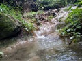 Water falls in the forest of Kashmir Royalty Free Stock Photo
