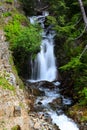 Water falls in Mount Rainier Royalty Free Stock Photo