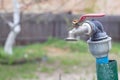 Water faucet on the background of nature. Opening or closing a faucet to save water indicates a water shortage problem. Rustic Royalty Free Stock Photo