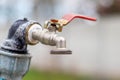 Water faucet on the background of nature. Opening or closing a faucet to save water indicates a water shortage problem. Rustic Royalty Free Stock Photo