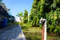 Water faucet with a hydroponic garden and green house in the background Royalty Free Stock Photo