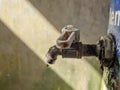 Water faucet, of plastic. Running water in the bathroom. sunlight . Classic concept. Panorama