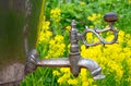 Water faucet spout samovar Royalty Free Stock Photo