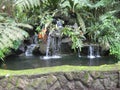 A water feature at Makiling botanical gardens, Philippines Royalty Free Stock Photo