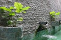 Water feature with a rockwall