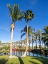 Water features at a golf course at the JW Marriott Desert Springs Royalty Free Stock Photo