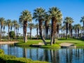 Water features at a golf course at the JW Marriott Desert Springs Royalty Free Stock Photo