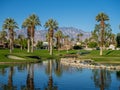 Water features at a golf course at the JW Marriott Desert Springs Royalty Free Stock Photo