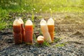 Photosynthetic Bacteria PSB in plastic bottles for organic agriculture. Royalty Free Stock Photo