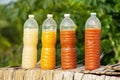 Photosynthetic Bacteria PSB in plastic bottles for organic agriculture. Royalty Free Stock Photo