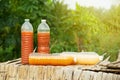 Photosynthetic Bacteria PSB in plastic bottles for organic agriculture. Royalty Free Stock Photo