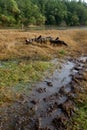 Water filled puddle with many footprints on the flooded grass of Witty`s Lagoon in December, rain streaking down Royalty Free Stock Photo