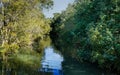 Water filled tidal creek surrounded by bushland. Royalty Free Stock Photo