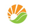 Solar sun leaf logo template Royalty Free Stock Photo