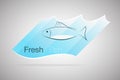 Water fish on white background. Royalty Free Stock Photo